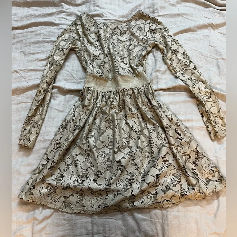 Zara Crème Net Lace Dress - Picture 2 of 12